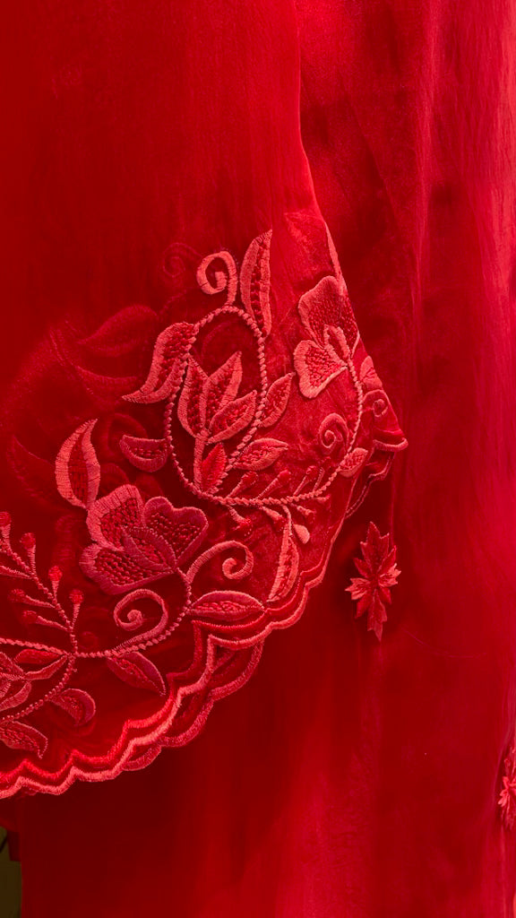 Pure organza shirt with Resham embroidery