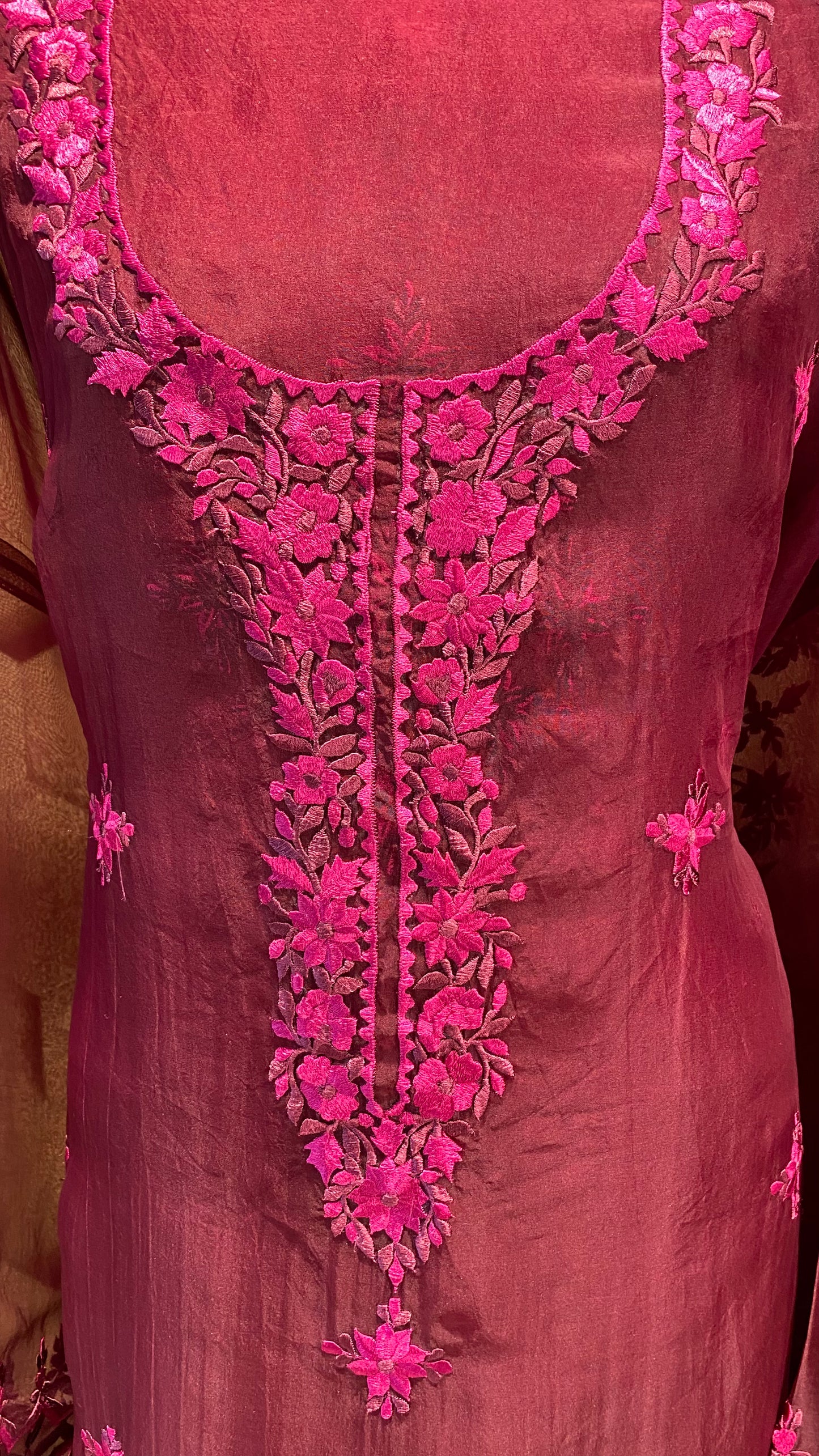 Pure organza Resham embroidery