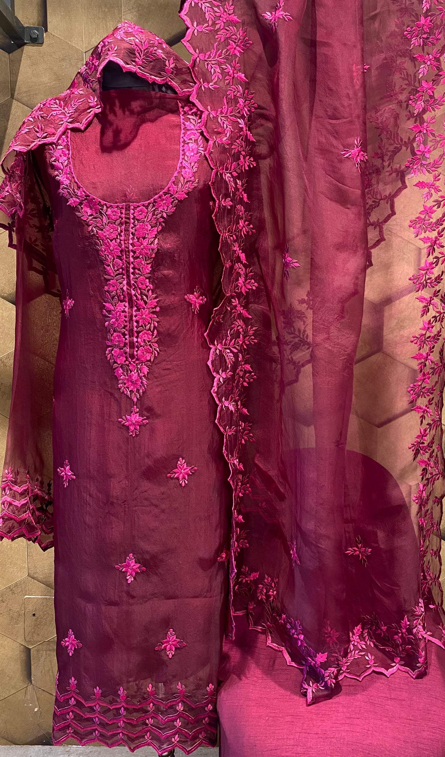 Pure organza Resham embroidery